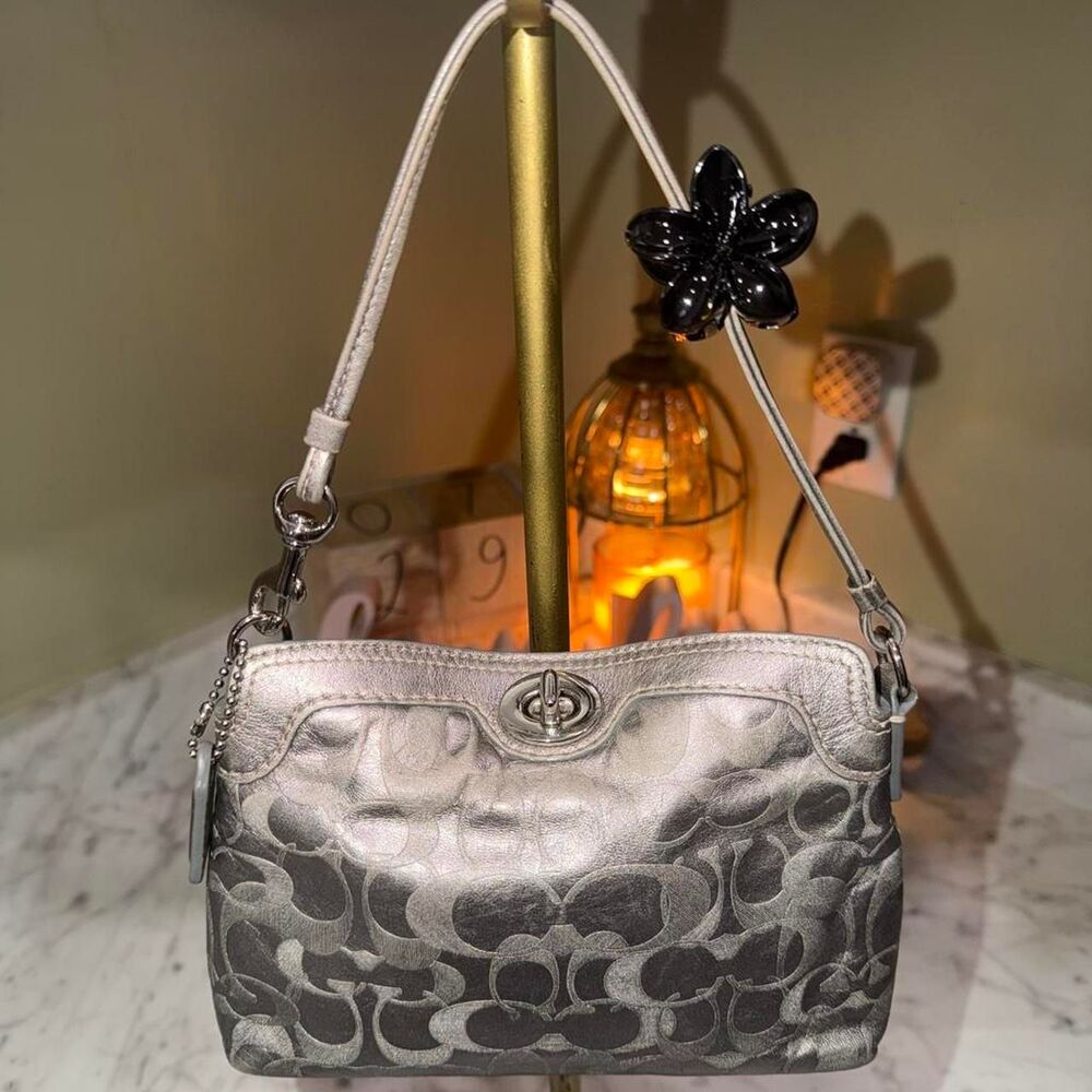 Coach Women's Silver and Grey Bag